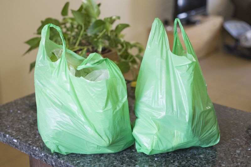 bolsas biodegradables para el hogar