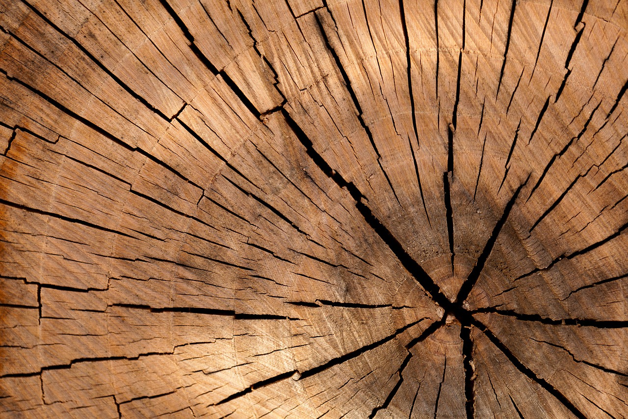madera ecológica