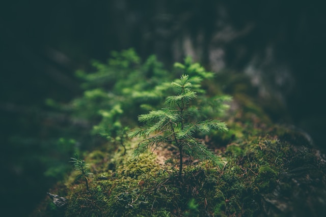 Libros sobre el medioambiente